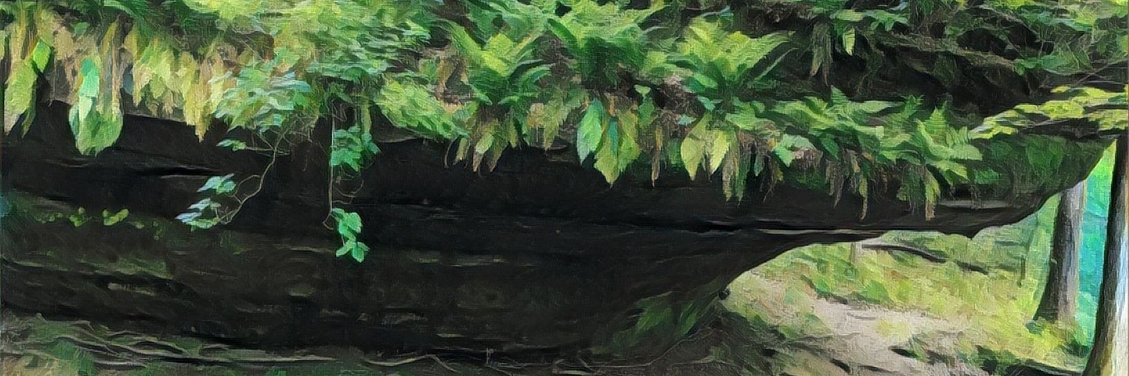 bork76's profile banner image