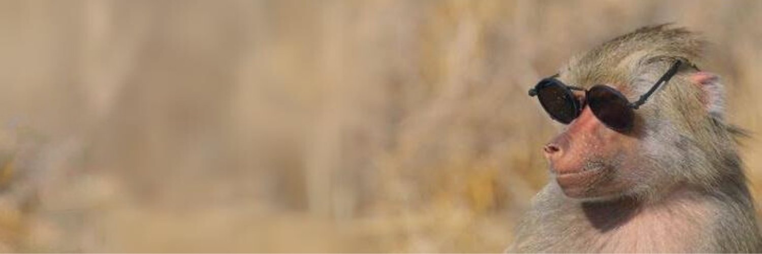 Most Elegant Monkey Ever banner