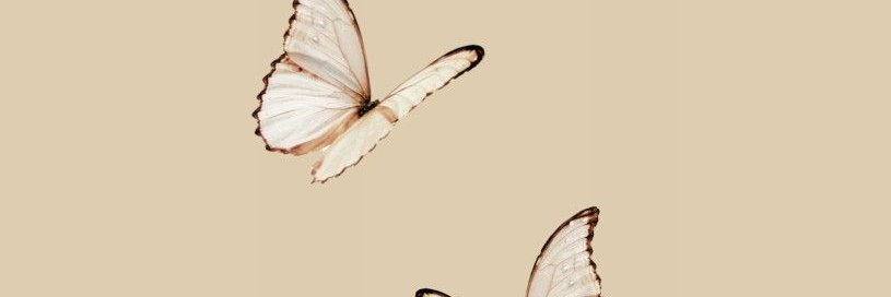 𝒿𝑜𝑦. banner