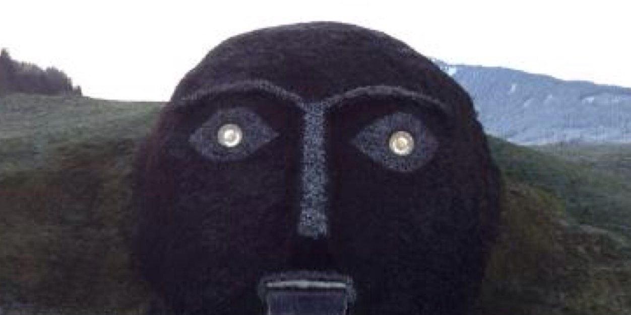 tstevenf's profile banner image