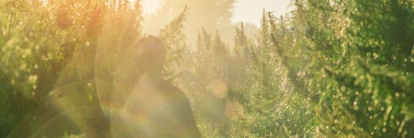 MaisonNLB Profile Banner
