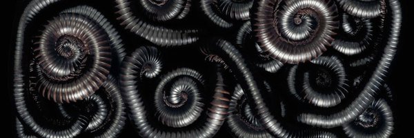 puptrid Profile Banner