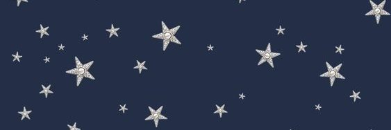 MJ banner