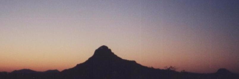 Petalidium's profile banner image