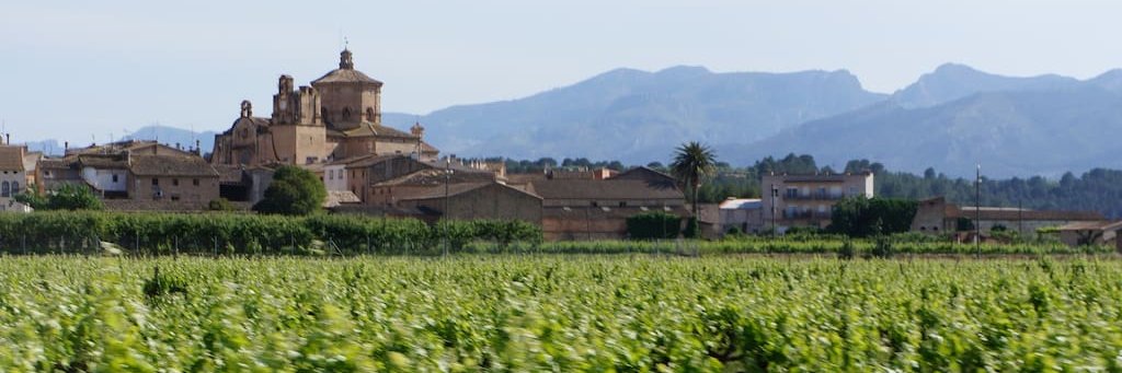 catalanlinda's profile banner image