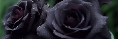 🇦🇪Ṡ A L M A 🇦🇪 banner