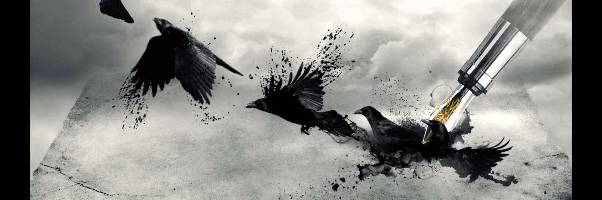 anneLemarch's profile banner image