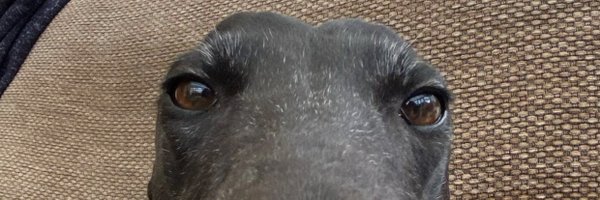 _Ultimon Profile Banner