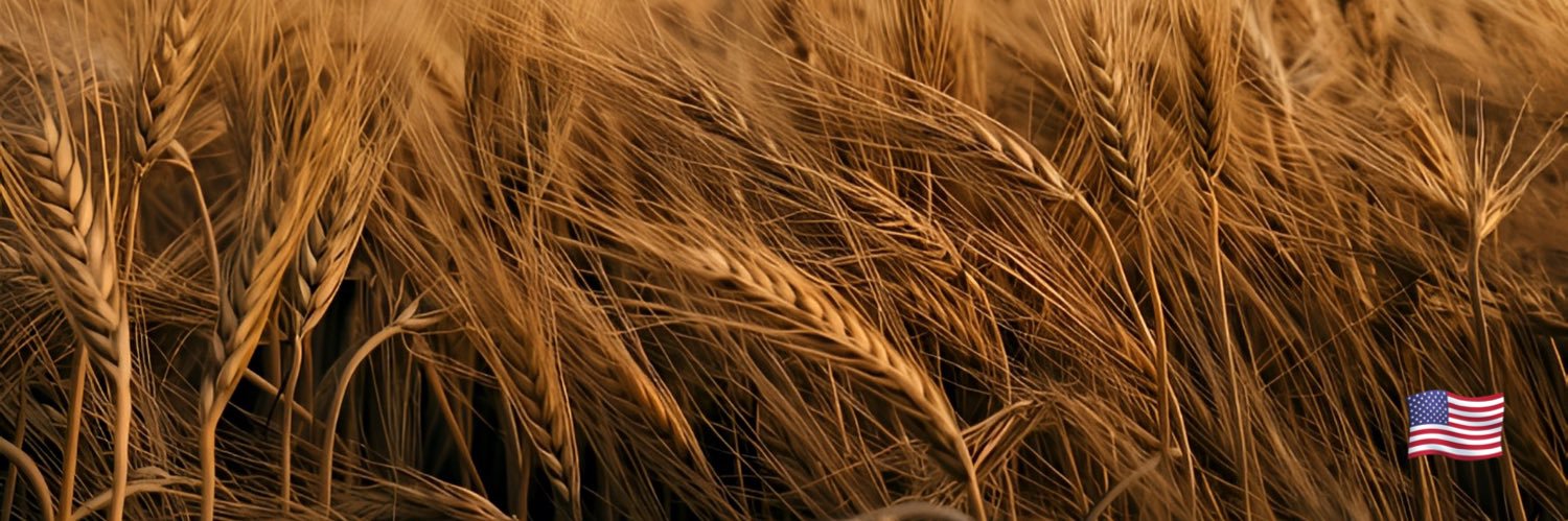 WichitaFats's profile banner image