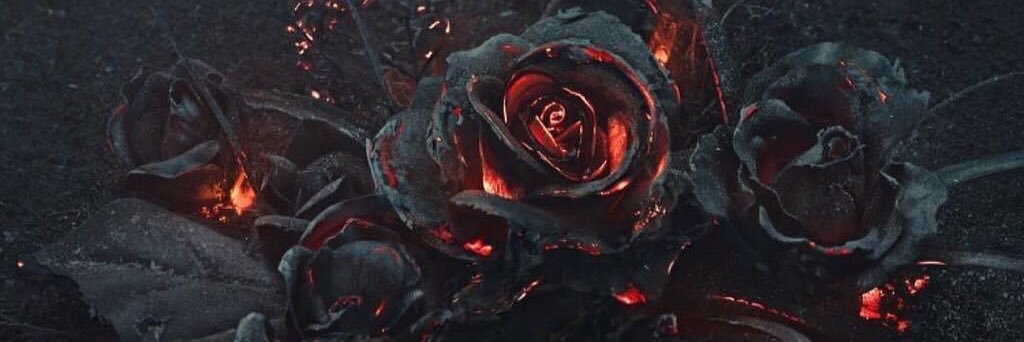 yoh_db's profile banner image