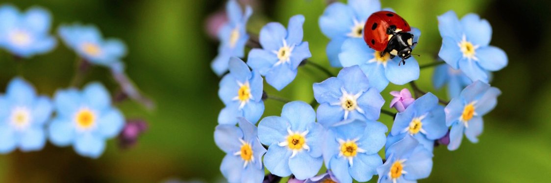 Moira Walley-Beckett banner