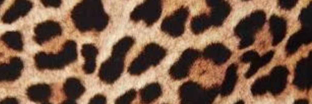 Kayaka22's profile banner image