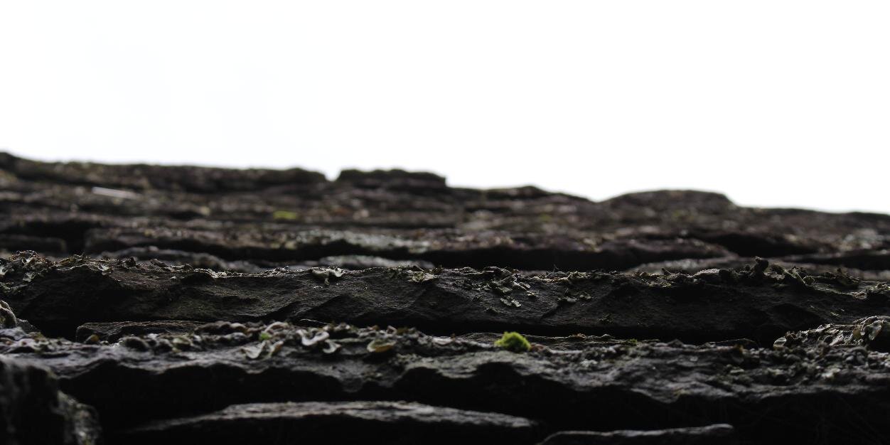 FedeActive's profile banner image