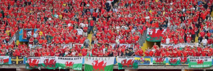Mark Stuart banner