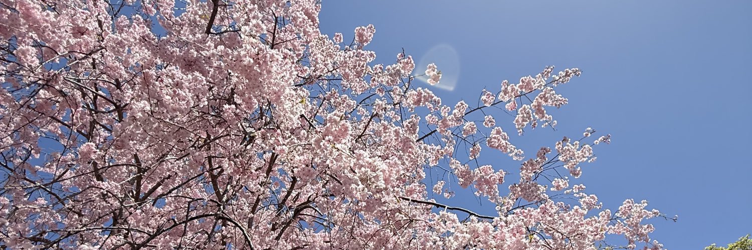 ☀️ banner