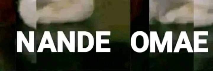 nyaw banner