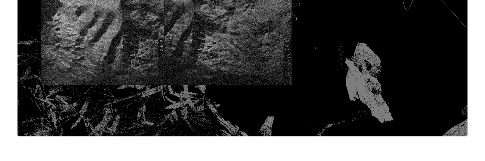 Solveig Qu Suess banner