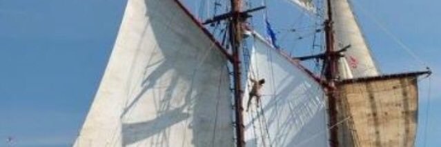 joan lanuza soriano banner