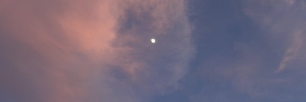 patieluvslaw Profile Banner