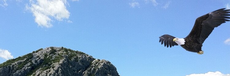 stevenbeaman's profile banner image