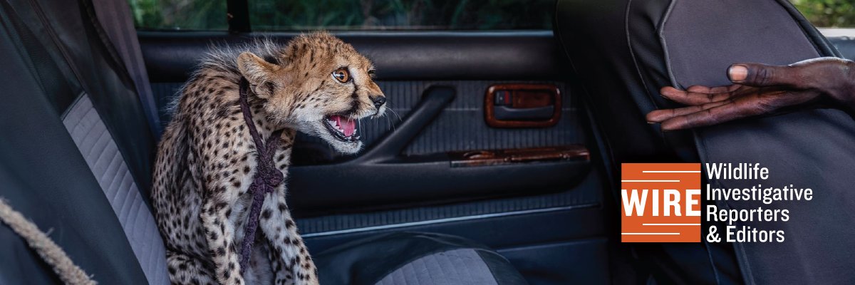 WIRE: Wildlife Investigative Reporters & Editors banner