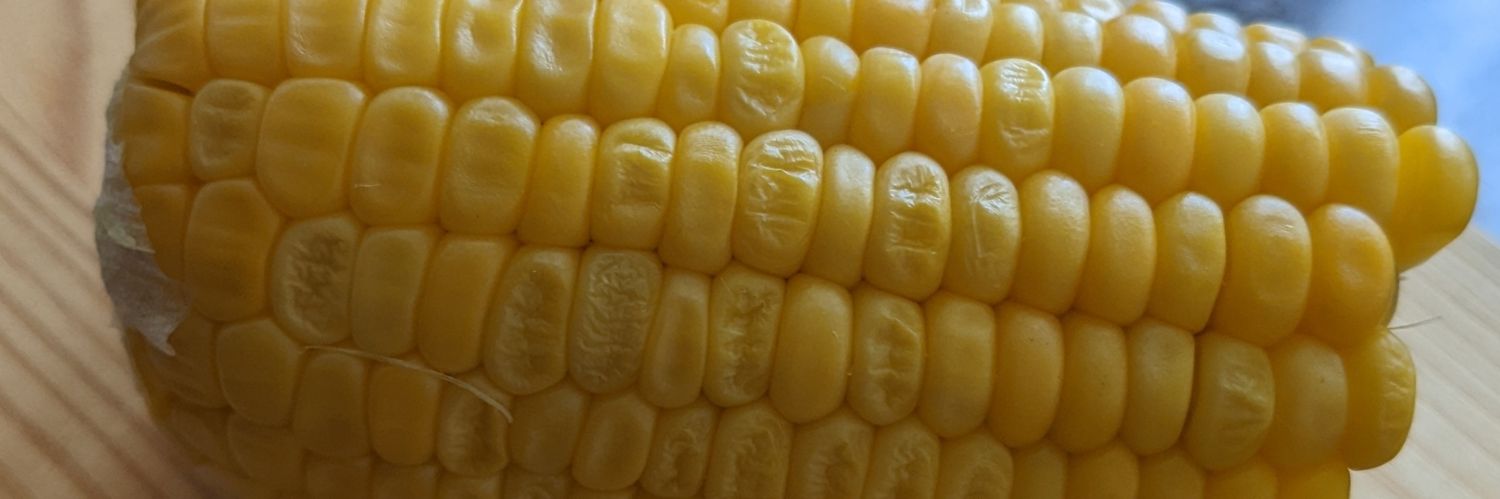 さけるチーズ banner