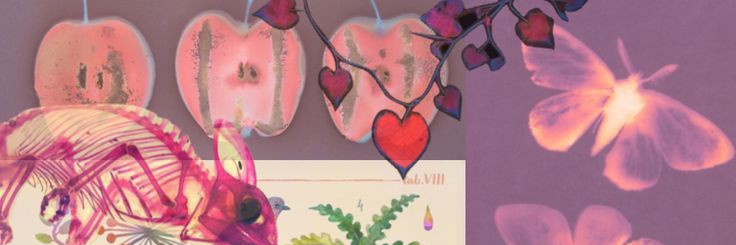 𓈒𓏲 ๋࣭ ִ۫ ѕɑffɑɑ banner