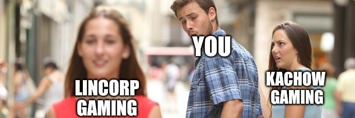 Lincorp Gaming banner