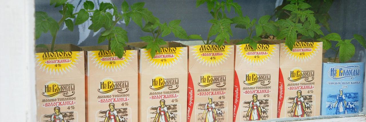 эчпочмоня banner