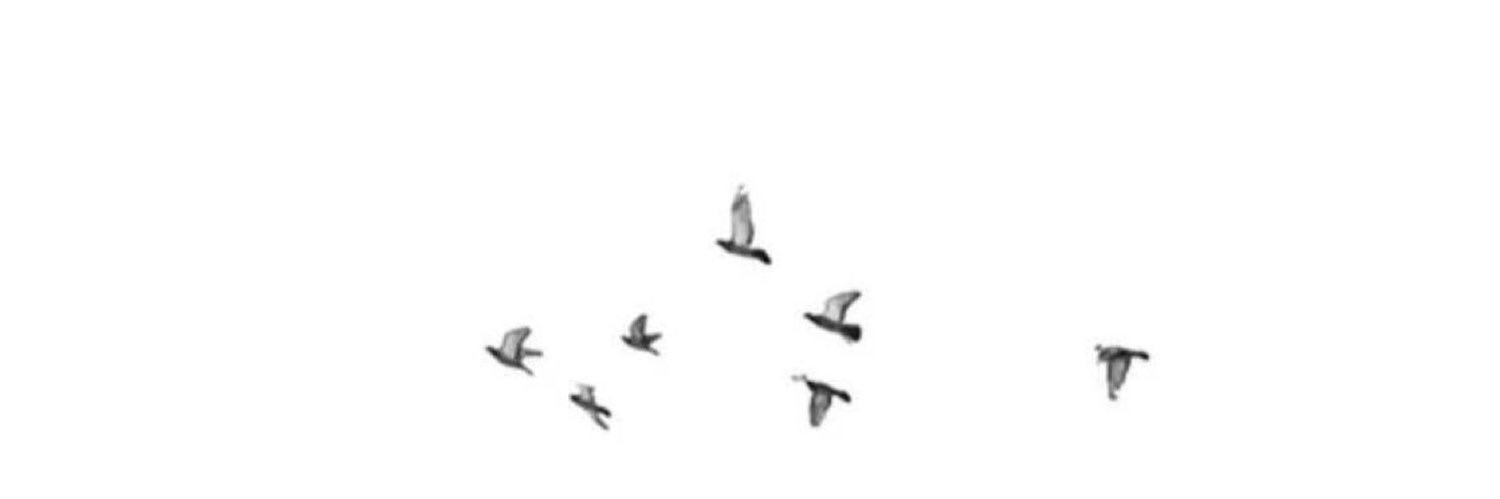Ro2019di's profile banner image