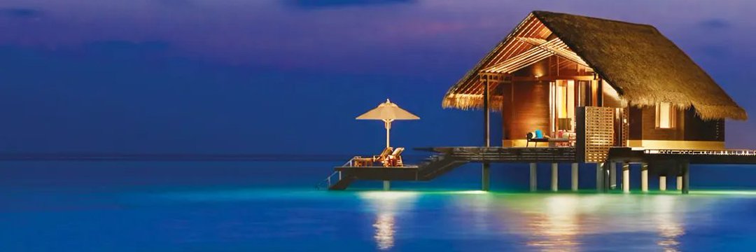 TheWaterDiaries's banner