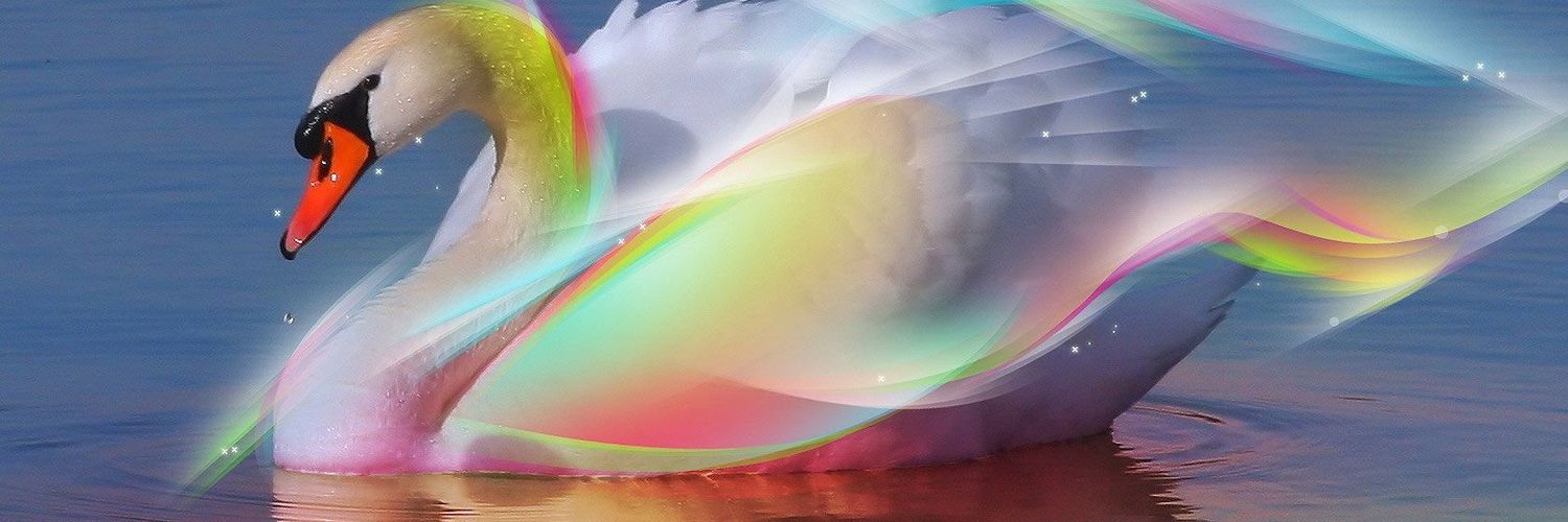 bhanulucky's profile banner image