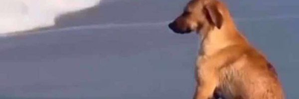 davhry9 Profile Banner