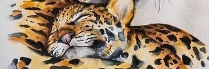 IngridJManrique's profile banner image