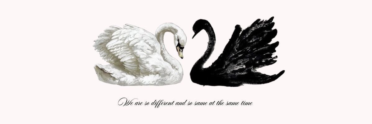 Karina 𝜗ৎ. banner