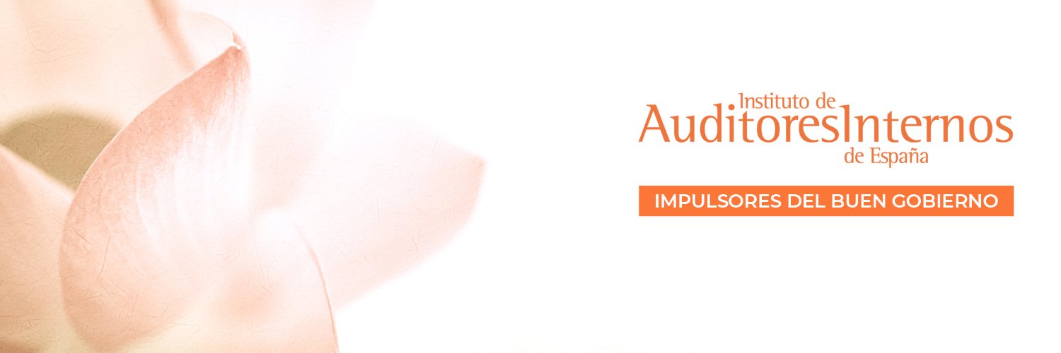 Auditores Internos banner