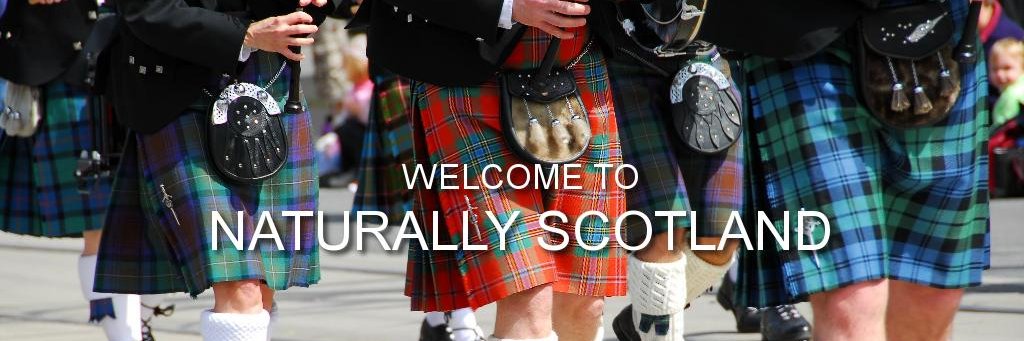 NaturalScottish's profile banner image