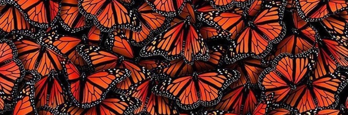 Neurogenesis | ETHGas ⛽ banner