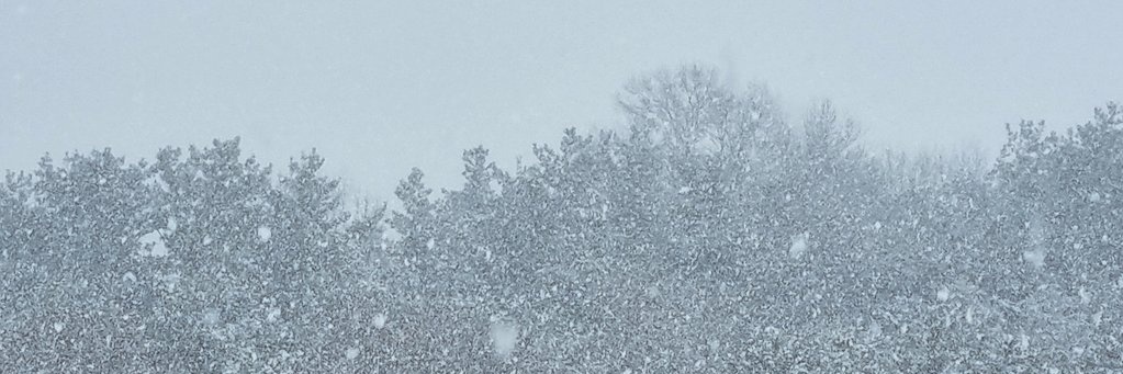 햇살⁹'s banner