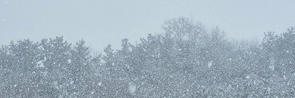 salgucha Profile Banner