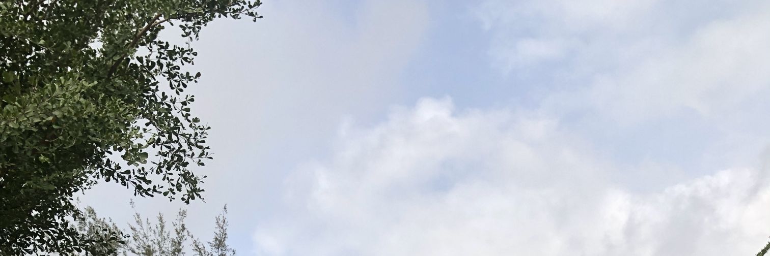 Jessipacaro's profile banner image