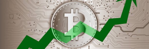 M.Murat GÜLTEKİNOĞLU banner