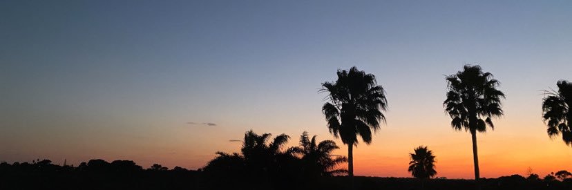 Towi_2's profile banner image