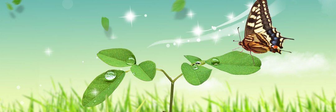 Precious`K's banner