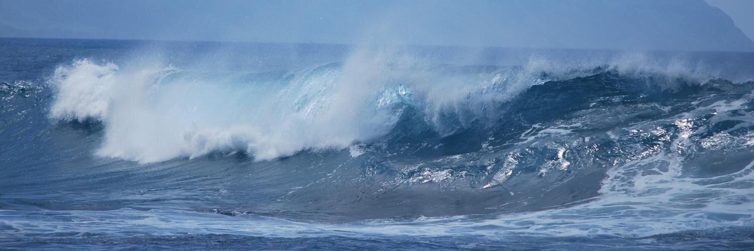 Daniel Kjellen banner
