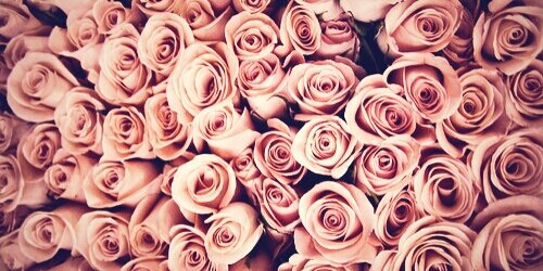 jcejessica's profile banner image
