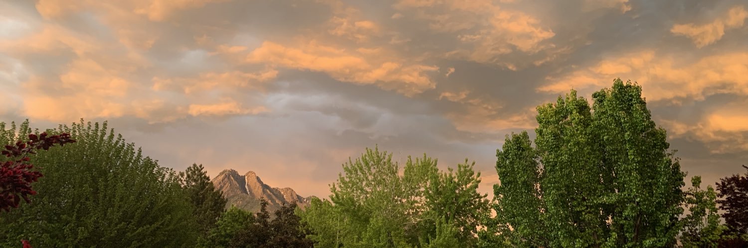 RonnieStart's profile banner image