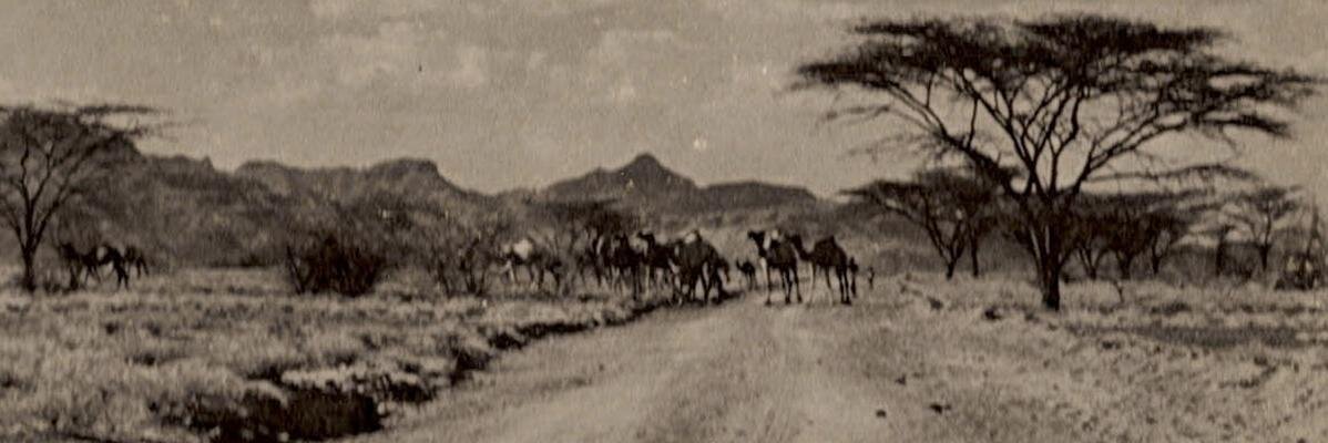 bhread's profile banner image