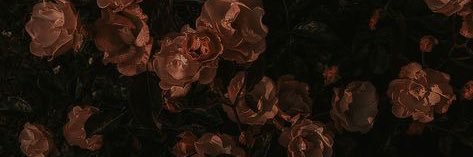 maizerdali's profile banner image