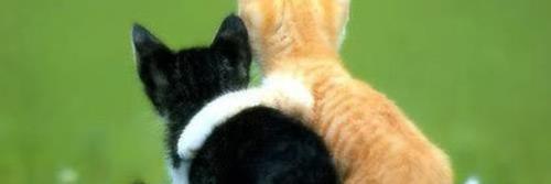 JcrisJjj's profile banner image